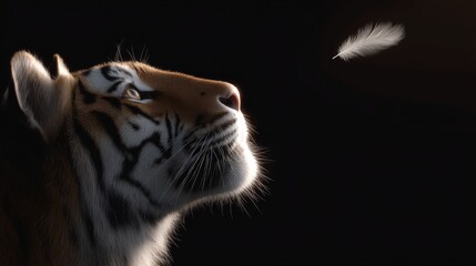 A majestic tiger gazes at a delicate white feather floating in the air. Capturing the beauty of nature, this art piece showcases wild elegance and a sense of wonder. Perfect for animal lovers. AI
