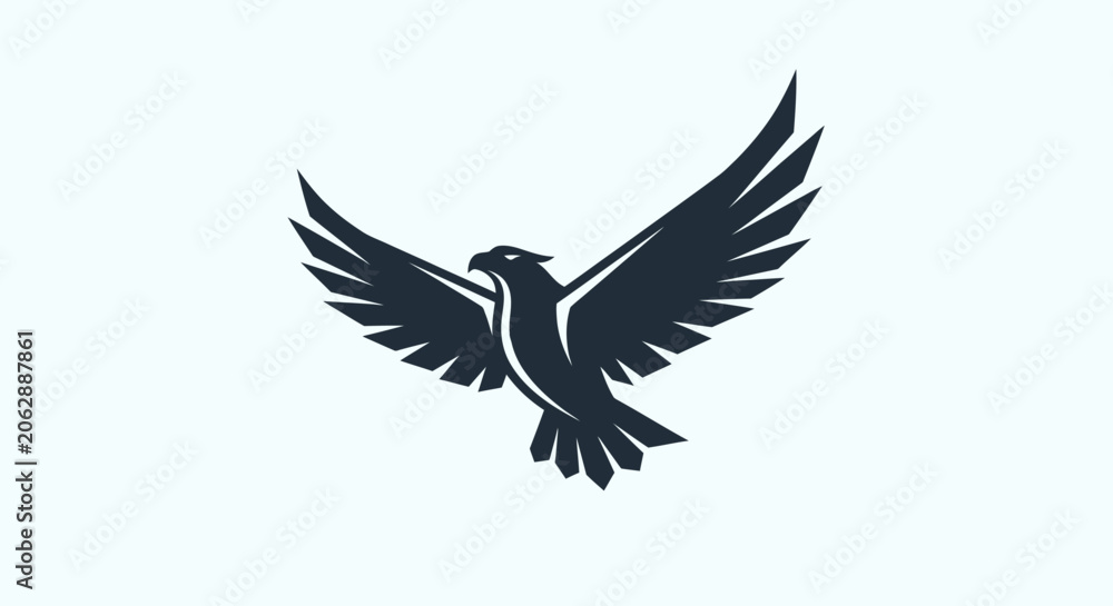 Fototapeta premium Black bird in flight wings spread.