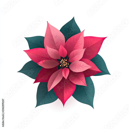 A vibrant, pink and red bloom with dark green leaves, isolated