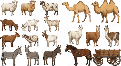 Obraz na płótnie Farm Animal Vector Collection Featuring Sheep Goats Camels Llamas Donkeys Horse