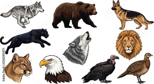 Photography Wild Animal Vector Collection Featuring Wolf Bear Lion Eagle Panther Cougar Vult