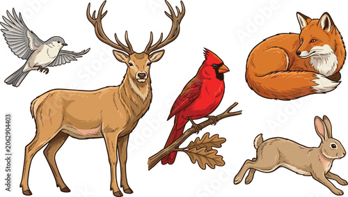 Canvas Print Woodland Wildlife Vector Collection Featuring Deer Fox Rabbit Cardinal Songbird