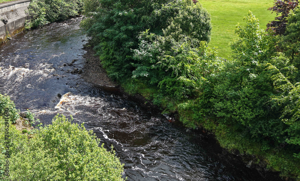Fototapeta premium Catrine, South Ayrshire. Flowing river water creating whitewater ripples through green trees.