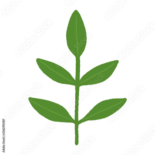 Green leaf simple illustration