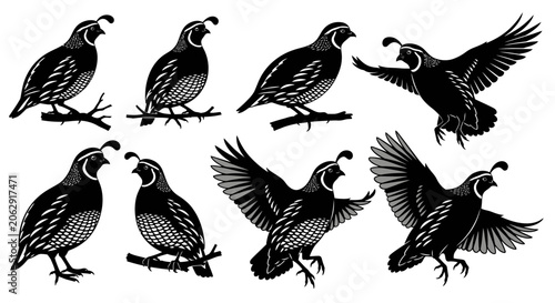 Cuadro en lienzo Set of Diverse Quail Poses: Perching, Standing, and Flying Birds