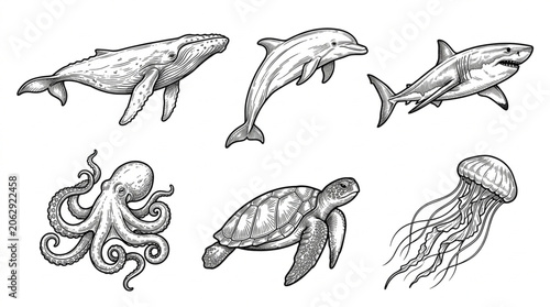 Sea creatures including dolphins and octopus.