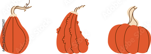 Tableau sur toile Hand drawn textured orange pumpkins and gourds isolated on white background