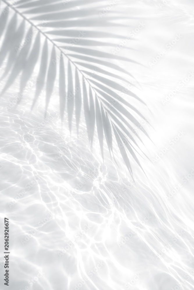 Obraz premium Serene palm shadow water reflection