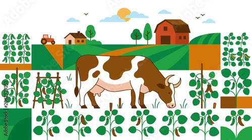 Dairy cow grazing in green organic agriculture field.