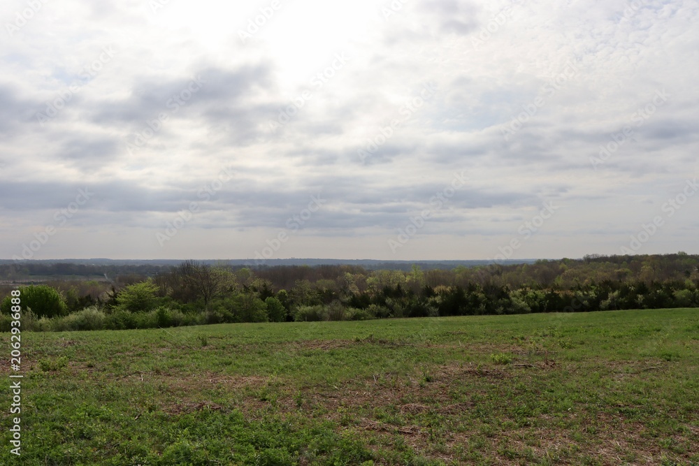 Fototapeta premium The grass landscape in the country on a cloudy day.