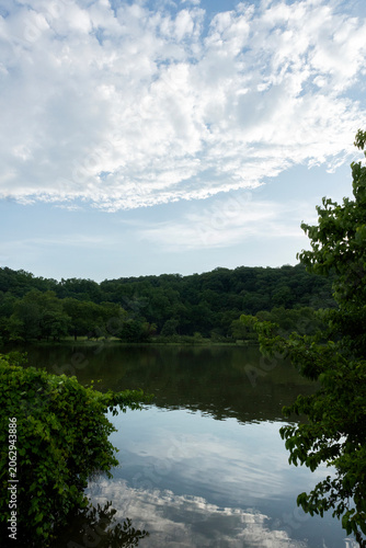 lake in the forest