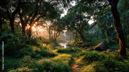 The forest of clouds at the sunrise