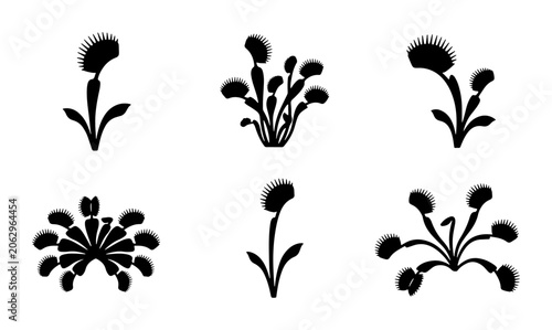 Fényképezés Venus Flytrap Icons, Carnivorous Plant Silhouettes, Botanical Vector Set