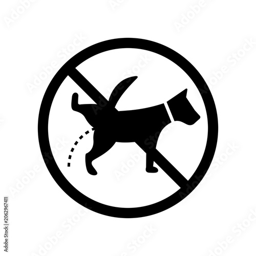 dog pee