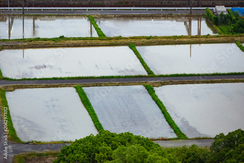 Aerial view of flooded rice paddies with geometric field patterns