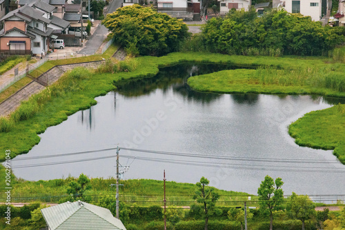 Natural pond surrounded by greenery in residential area