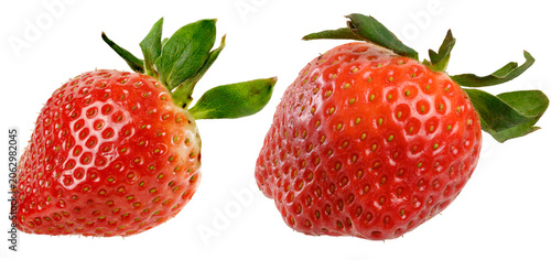 Cuadro en lienzo Two red ripe strawberries with green sepals on an isolated background