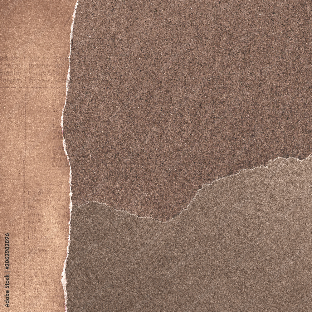 Fototapeta premium Textured torn paper background with copy space