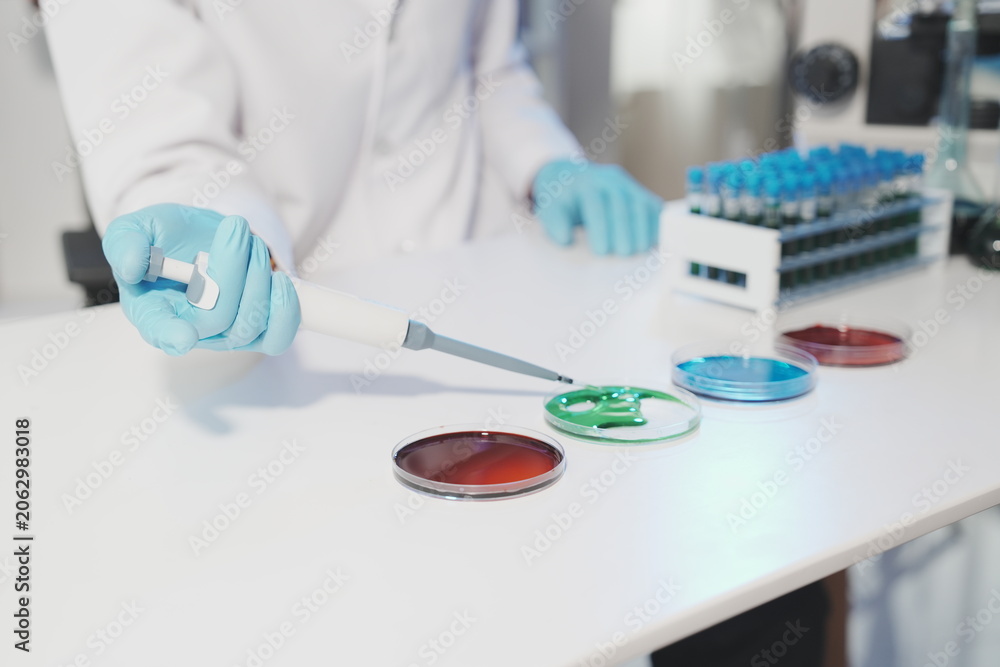Fototapeta premium A wide-angle laboratory tabletop view featuring three petri dishes with different colored solutions (red, green, blue), with a researcher working and a laptop open for real-time data entry.