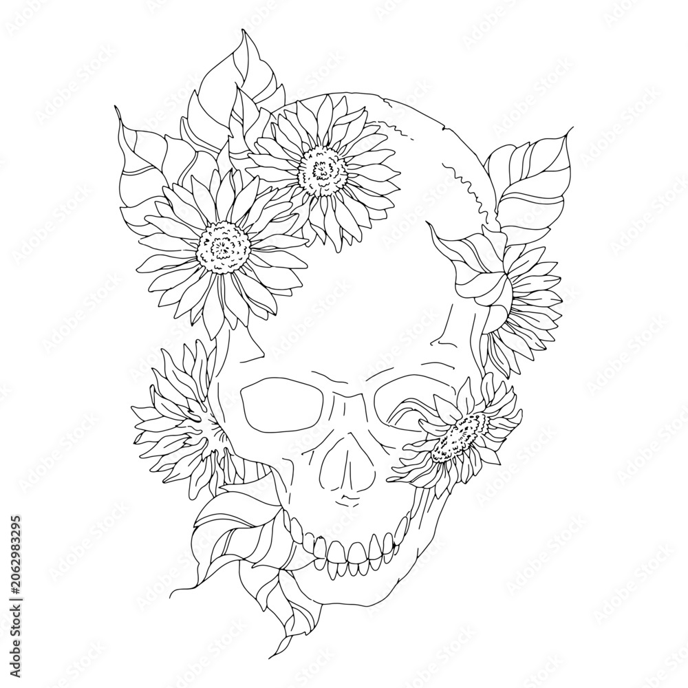 Obraz premium Floral skull top view line art