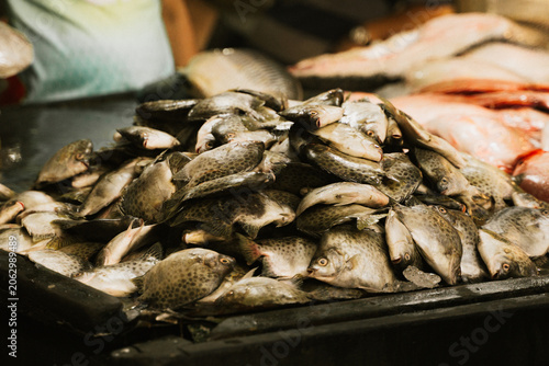Foto fresh fish in the market