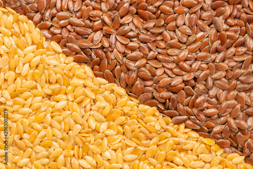 pile of raw flaxseeds divided into golden and brown halves for background. top view
