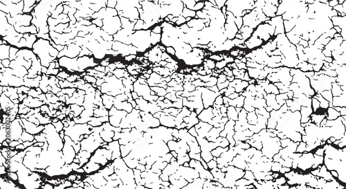 Black Cracked Ground or Veins Abstract Texture Vector