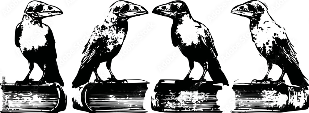 Obraz premium four black birds perched on old books in vintage monochrome illustration