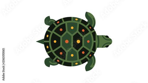 Fotografie Green Turtle Shell with Colorful Spots.