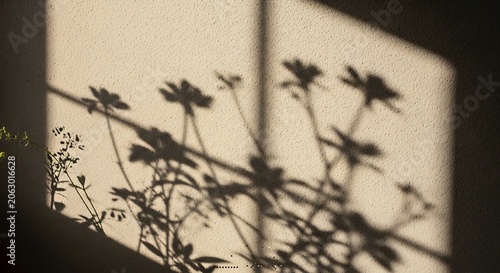 Silhouette of flowers against window light.