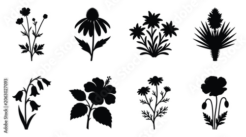 Foto Collection of various wildflower silhouettes in black