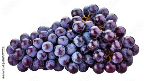 Tableau sur toile Dark purple grapes cluster with stems