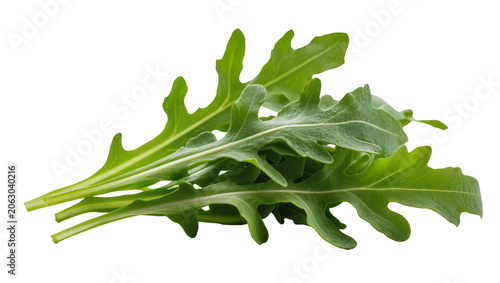 Foto Fresh green arugula leaves bunch