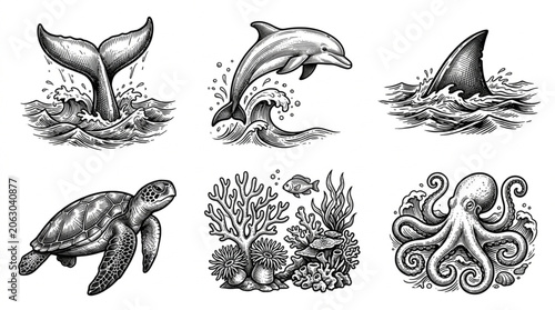 Collection of marine life illustrations in sketch style.