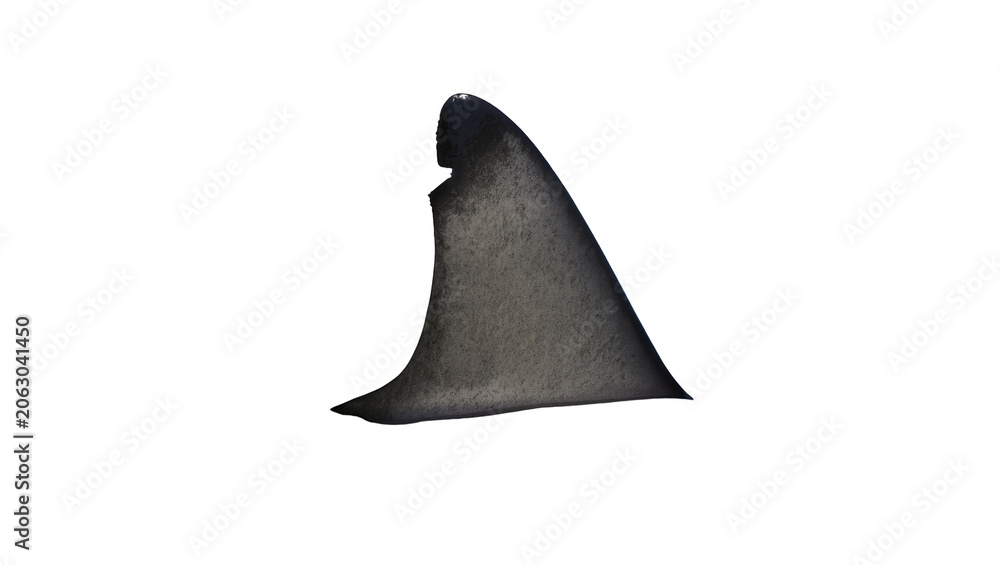 Fototapeta premium Shark fin dorsal fin ocean predator