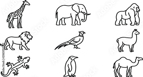 Photography Wild Animals and Birds Line Icon Set for Safari Zoo Wildlife Wildlife Education
