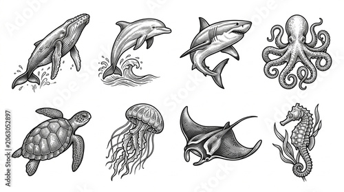 Collection of Hand Drawn Marine Animals in Sketch Style.