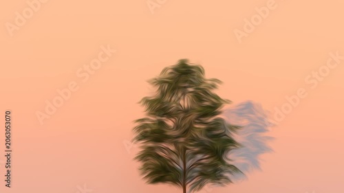 Single Pine Tree Swaying Gently in Soft Evening Light, Shadow Mimicking Movement