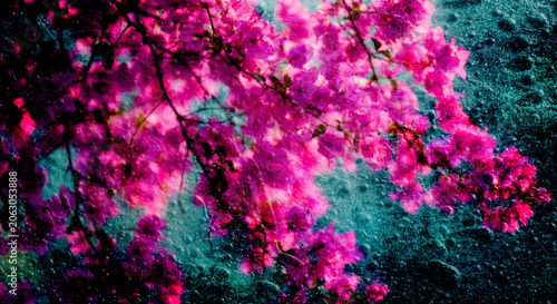 Foto Pink bougainvillea flower branch wet glass grunge texture