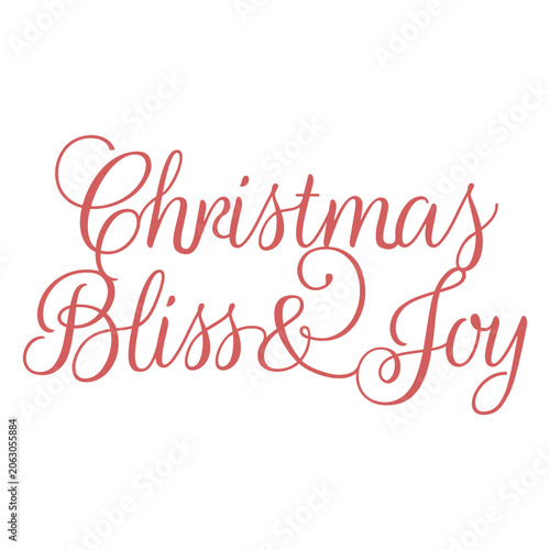 Bild auf Leinwand Elegant christmas quote design featuring bliss and joy
