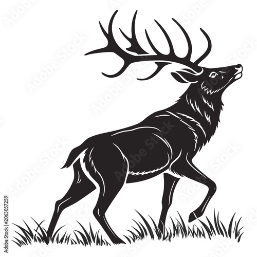 Photos Noble stag with large antlers walking in tall grass vector illustration wildlife