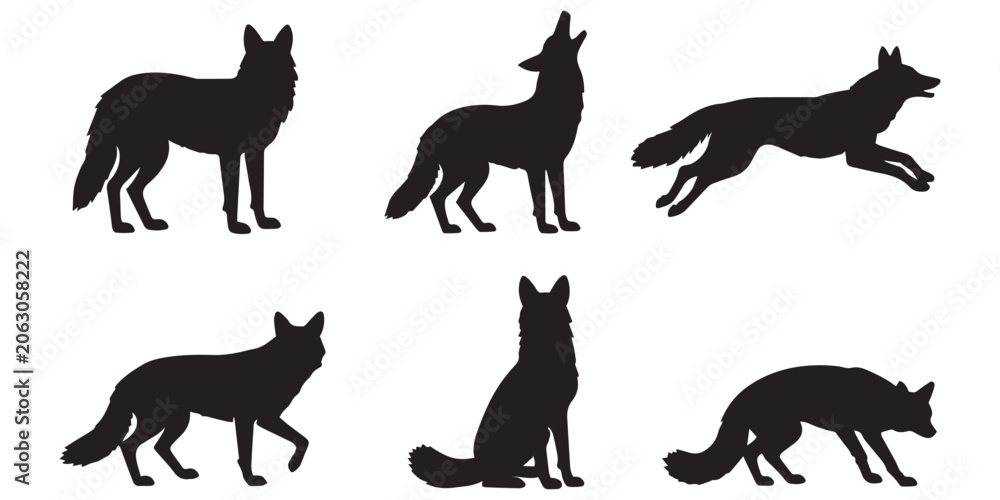 Obraz premium Coyote Vector Set Different Poses