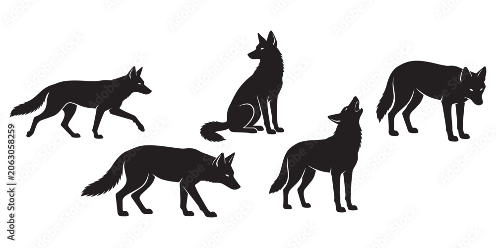 Obraz premium Coyote Vector Set Different Poses