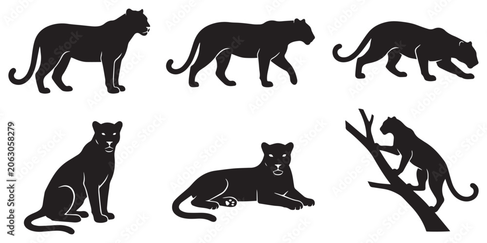 Fototapeta premium Leopard Vector Set Different Poses