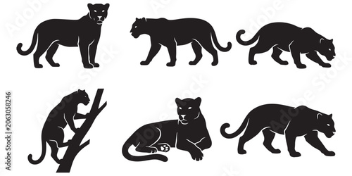 Wall Mural Jaguar Vector Set Different Poses