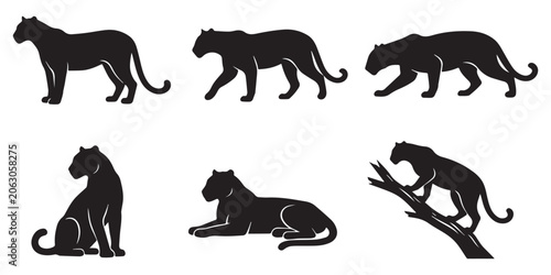Canvas Print Leopard Vector Set Different Poses