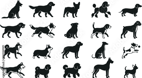 Foto Domestic Dog Breed Silhouette Vector Set with Various Canine Poses for Pet, Vete