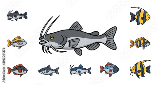Photos Freshwater and tropical fish collection with catfish and angelfish