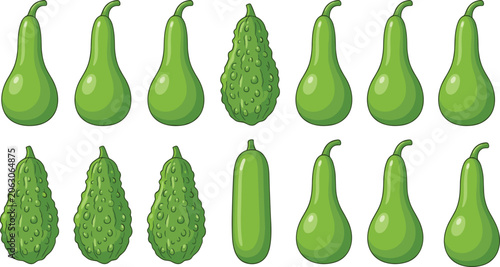 Fotografia Vector illustration of green gourds in rows representing agriculture, food, and