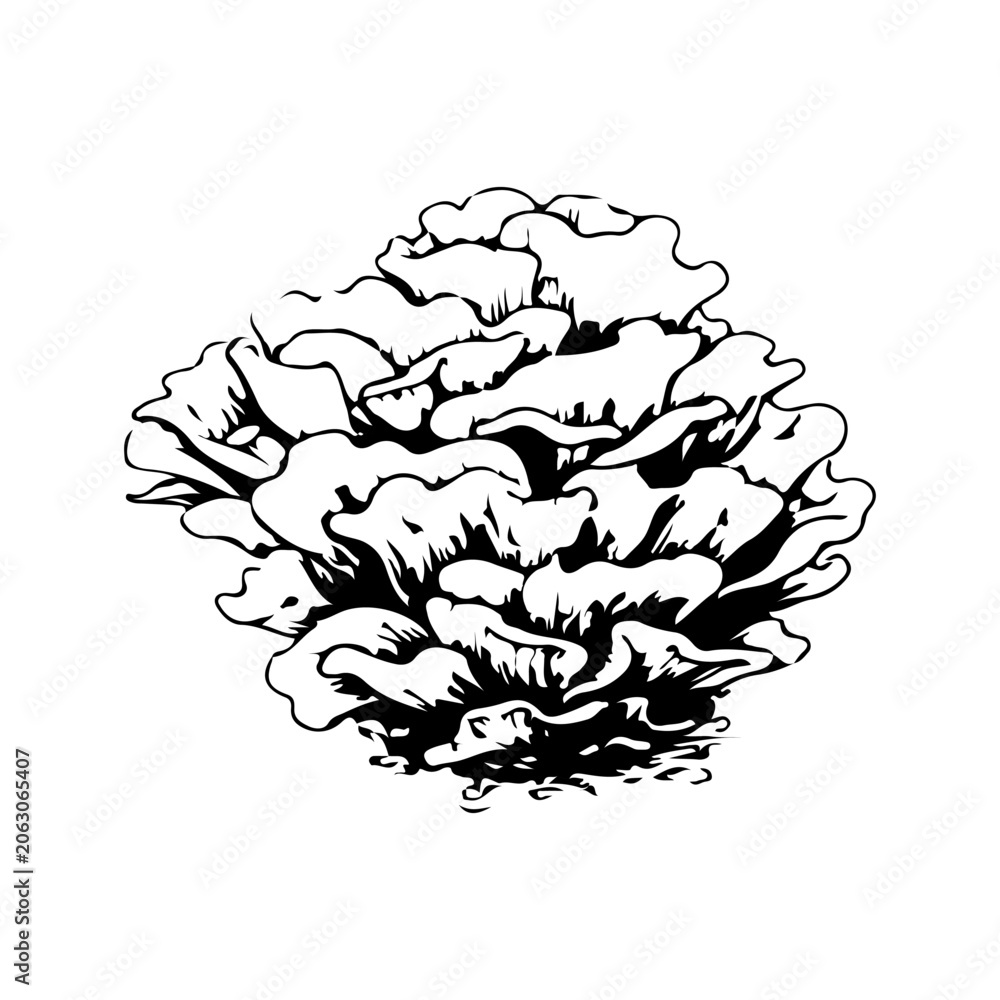 Fototapeta premium Simple hand drawn underwater coral reef sketch, engraved ocean marine wildlife ecosystem illustration.